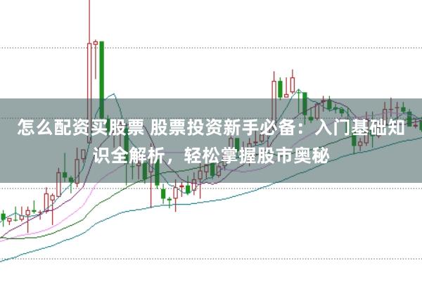 怎么配资买股票 股票投资新手必备：入门基础知识全解析，轻松掌握股市奥秘