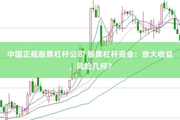 中国正规股票杠杆公司 股票杠杆资金：放大收益，风险几何？
