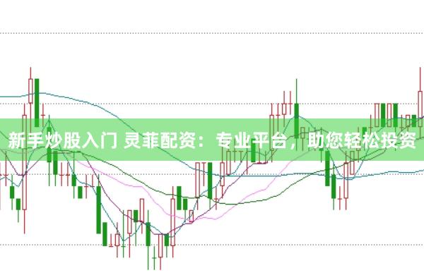 新手炒股入门 灵菲配资：专业平台，助您轻松投资