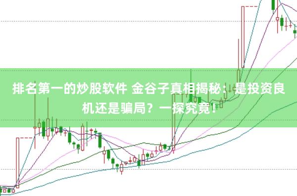 排名第一的炒股软件 金谷子真相揭秘：是投资良机还是骗局？一探究竟！