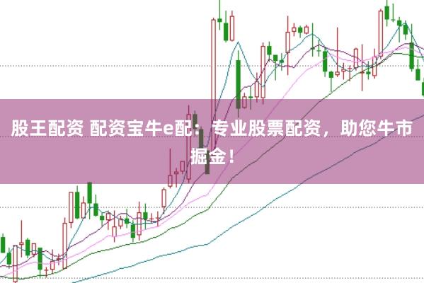股王配资 配资宝牛e配：专业股票配资，助您牛市掘金！