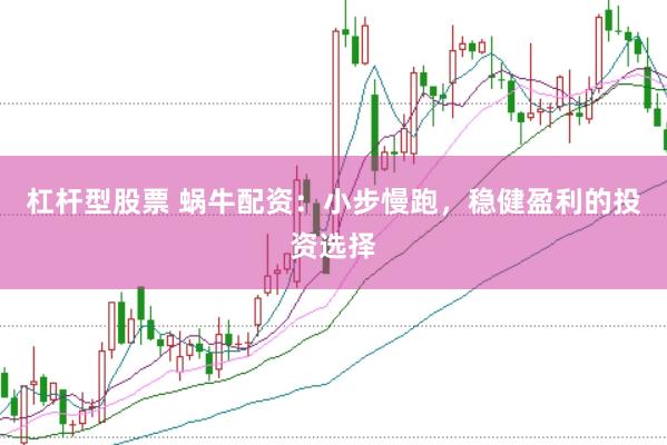 杠杆型股票 蜗牛配资：小步慢跑，稳健盈利的投资选择