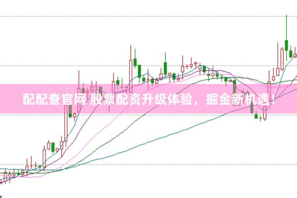 配配查官网 股票配资升级体验，掘金新机遇！
