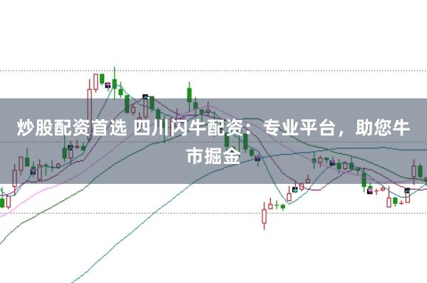 炒股配资首选 四川闪牛配资：专业平台，助您牛市掘金
