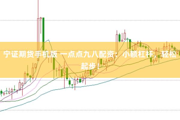 宁证期货手机版 一点点九八配资：小额杠杆，轻松起步！