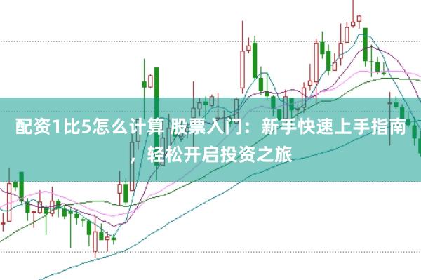配资1比5怎么计算 股票入门:新手快速上手指南,轻松开启投资之旅