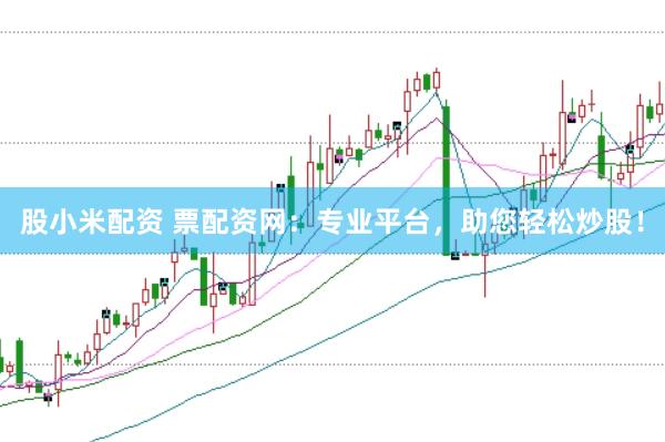 股小米配资 票配资网：专业平台，助您轻松炒股！