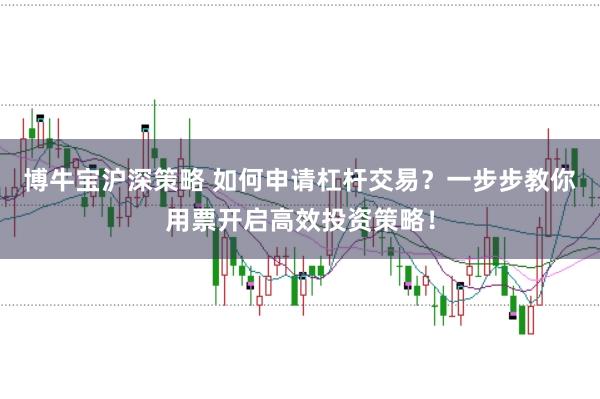 博牛宝沪深策略 如何申请杠杆交易？一步步教你用票开启高效投资策略！