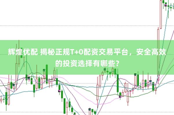 辉煌优配 揭秘正规T+0配资交易平台，安全高效的投资选择有哪些？