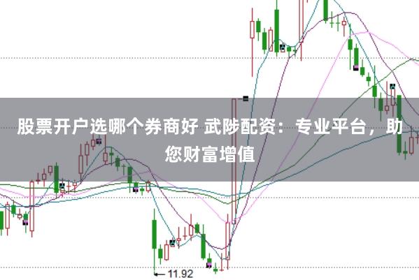 股票开户选哪个券商好 武陟配资：专业平台，助您财富增值