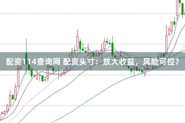 配资114查询网 配资头寸：放大收益，风险可控？