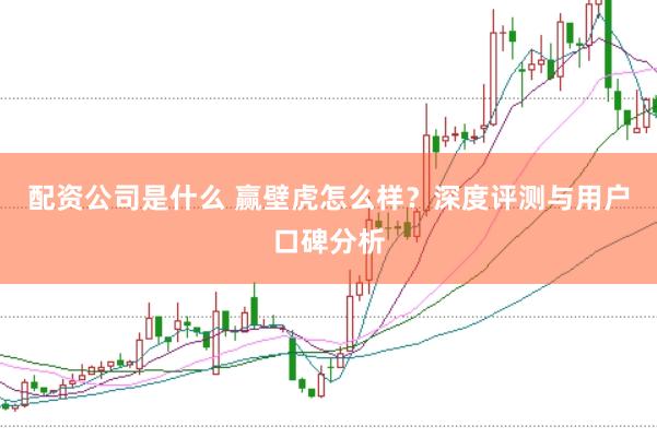 配资公司是什么 赢壁虎怎么样？深度评测与用户口碑分析