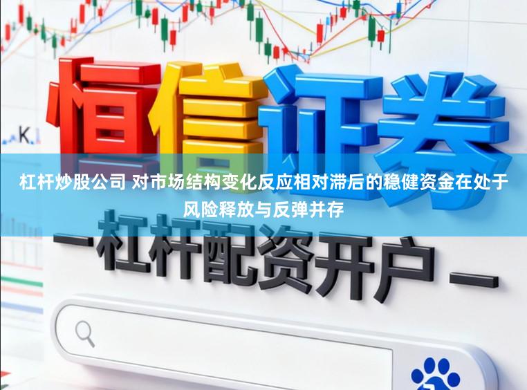 杠杆炒股公司 对市场结构变化反应相对滞后的稳健资金在处于风险释放与反弹并存