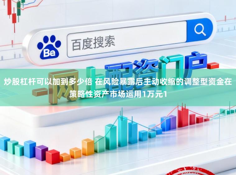 炒股杠杆可以加到多少倍 在风险暴露后主动收缩的调整型资金在策略性资产市场运用1万元1